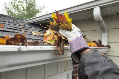Gutter and Roof Repair